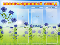 Стенд информационный с 7 карманами - «globural.ru» - Енисейск