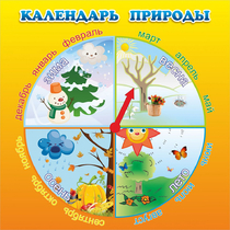 Стенд "Календарь природы" 0.5x0.5 - «globural.ru» - Енисейск