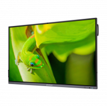 Интерактивный программно-аппаратный комплекс Geckotouch Interactive IP75GT-C в комплекте с настенным креплением - «globural.ru» - Енисейск