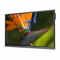 Интерактивный программно-аппаратный комплекс Geckotouch Interactive Pro IP75HT-E в комплекте с настенным креплением - «globural.ru» - Енисейск