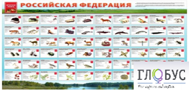 Стенд "Красная книга РФ" - «globural.ru» - Енисейск