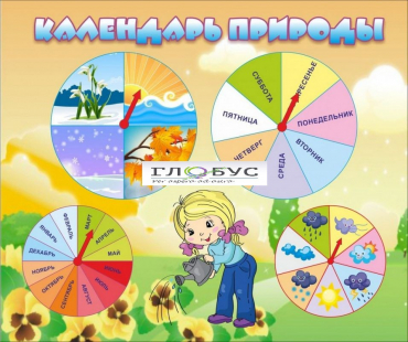 Стенд "Календарь природы" (вариант 1) - «globural.ru» - Енисейск