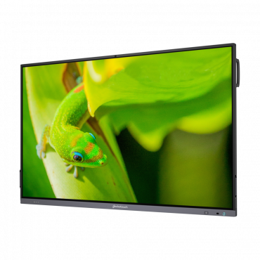Интерактивный программно-аппаратный комплекс Geckotouch Interactive IP86GT-С  в комплекте с настенным креплением - «globural.ru» - Енисейск