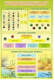 Стенд "Классификация животного мира" - «globural.ru» - Енисейск